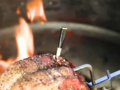 Thermometer in Meat