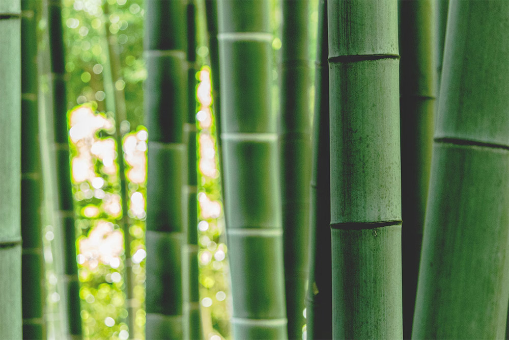 Bamboo Tongs - LoTech Sales
